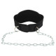 Пояс атлетичний для обтяження текстильний з ланцюгом та карабіном EZOUS DIP BELT N-02 спинка-16см чорний