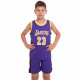 Форма баскетбольна дитяча NBA клуб Los Angeles Lakers 23 BA-0563 S-2XL Фіолетовий-жовтий