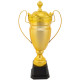 Кубок спортивний нагородний Sport Crown JZ2066B висота 50см