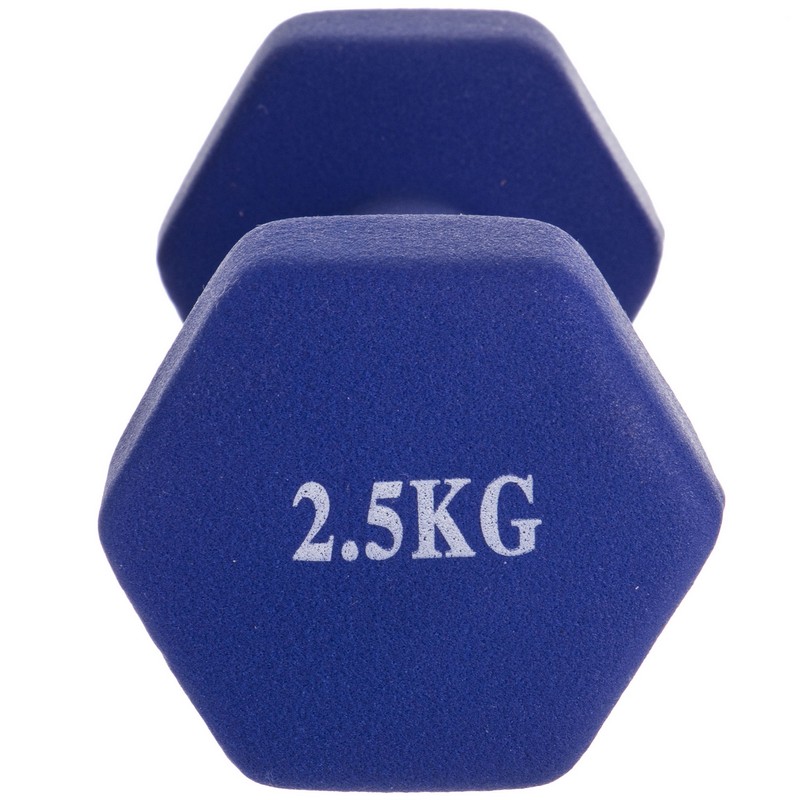 Гантель для фітнесу неопреновий Sport TA-0001-2_5 1шт 2,5кг