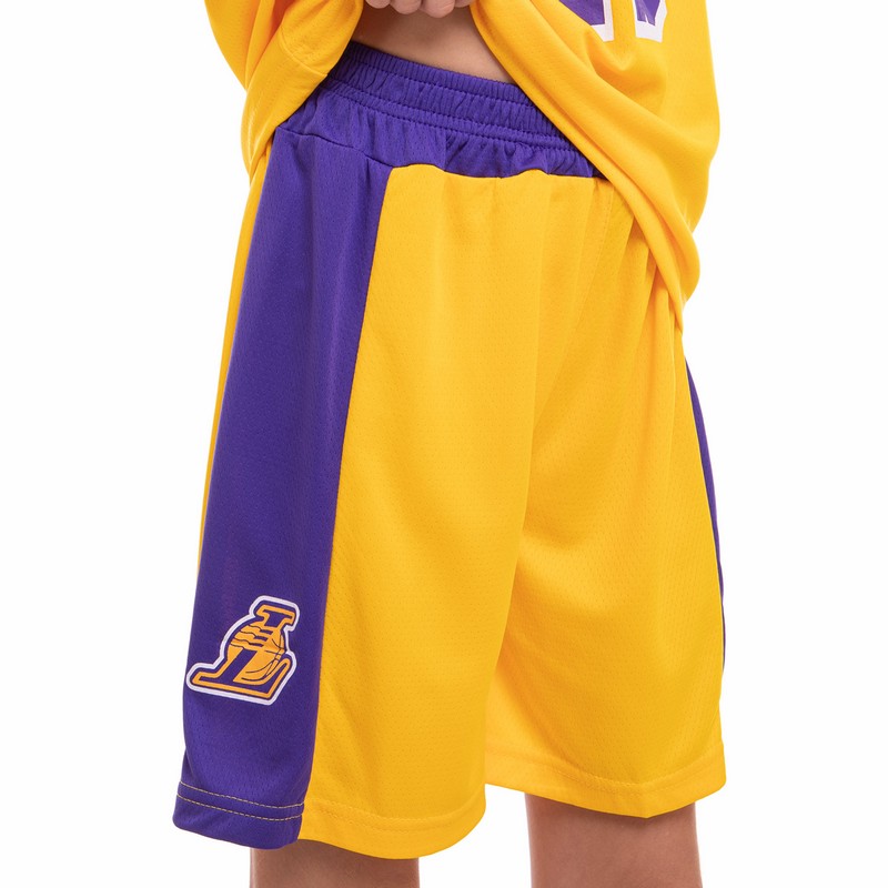 Форма баскетбольна дитяча NBA клуб Los Angeles Lakers 23 BA-0563 S-2XL Фіолетовий-жовтий