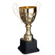 Кубок спортивний нагородний Sport Movement 4045D висота 24,5см золотий