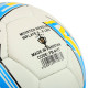 М'яч футбольний BALLONSTAR UKRAINE FB-4117 №5 PU