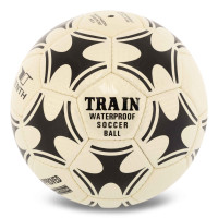 М'яч футбольний TENTH BALLONSTAR FB-7937 №5 PU білий-чорний