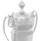 Кубок спортивний нагородний Sport Crown JZ2066C висота 45см