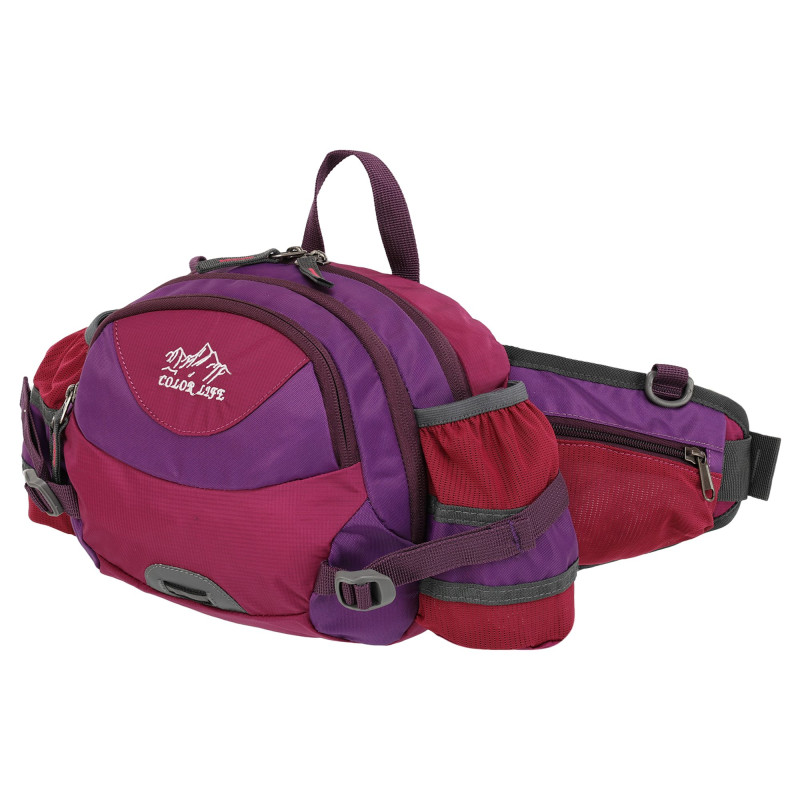 Сумка на пояс спортивна багатофункціональна 3в1 COLOR LIFE WAIST BAG TY-5335
