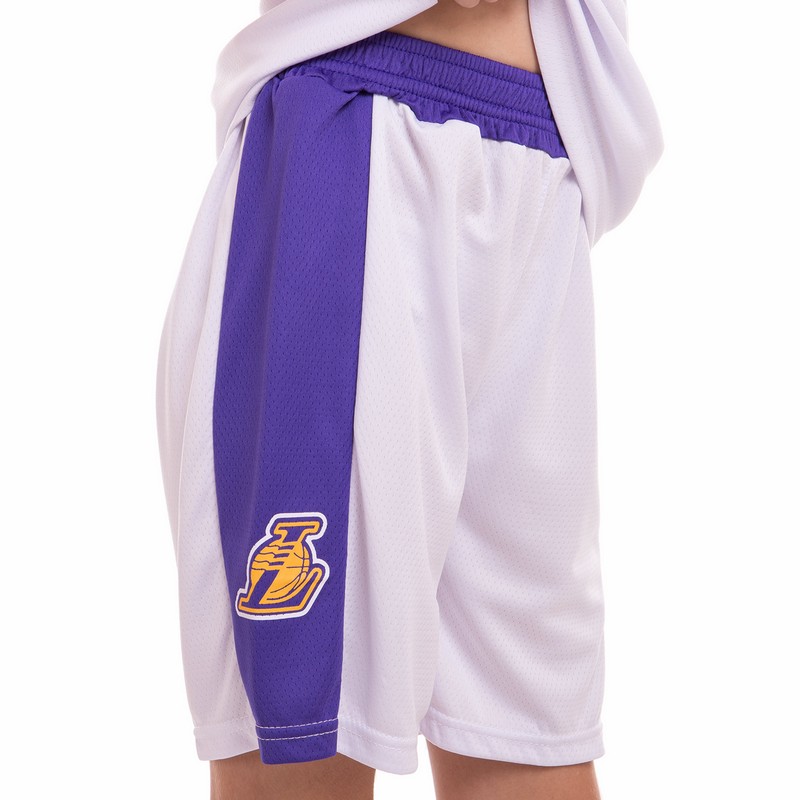Форма баскетбольна дитяча NBA клуб Los Angeles Lakers 23 BA-0563 S-2XL Фіолетовий-жовтий