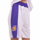 Форма баскетбольна дитяча NBA клуб Los Angeles Lakers 23 BA-0563 S-2XL Фіолетовий-жовтий