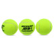 М'ячі для великого тенісу DUNLOP ATP CHAMPIONSHI DL601332 3шт салатовий