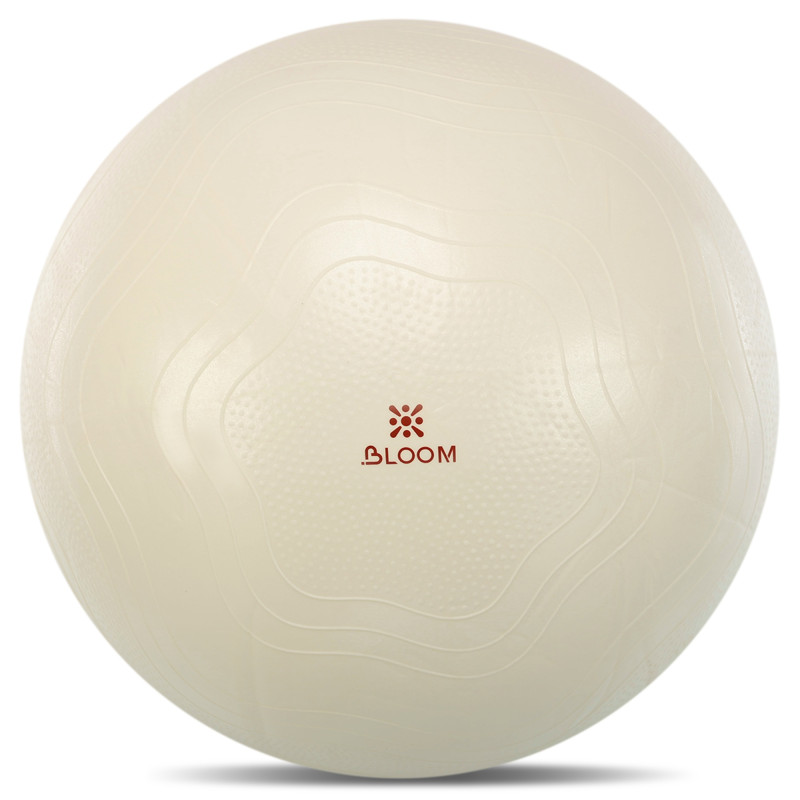 Фітбол м'яч для фітнесу сатин BLOOM LB7051-75 ø75см