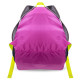 Рюкзак спортивний COLOR LIFE 9007 25л