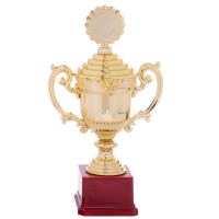 Кубок спортивний нагородний Sport Courage C-896-3B висота 29,5см золотий