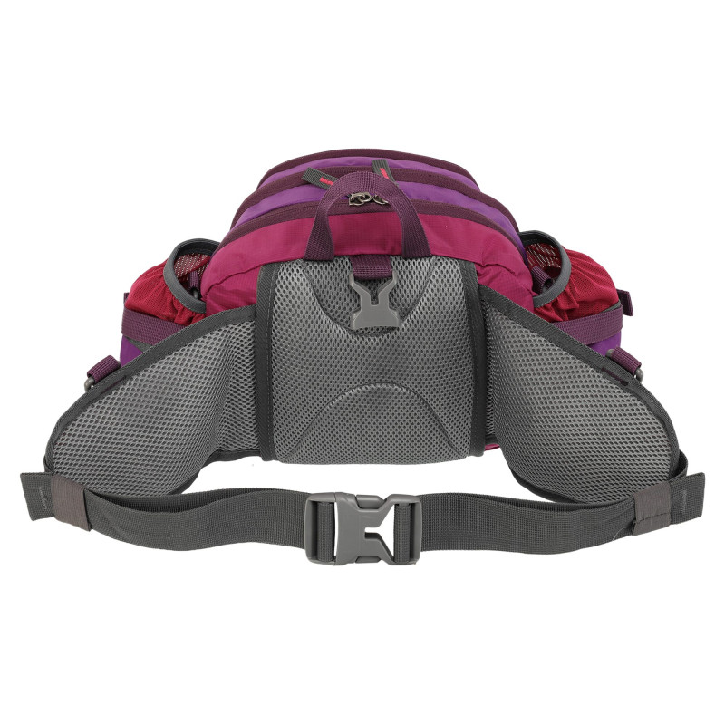 Сумка на пояс спортивна багатофункціональна 3в1 COLOR LIFE WAIST BAG TY-5335