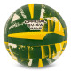 М'яч волейбольний BALLONSTAR SV-4W GOLD VB-5215 №5 PU зелений-жовтий