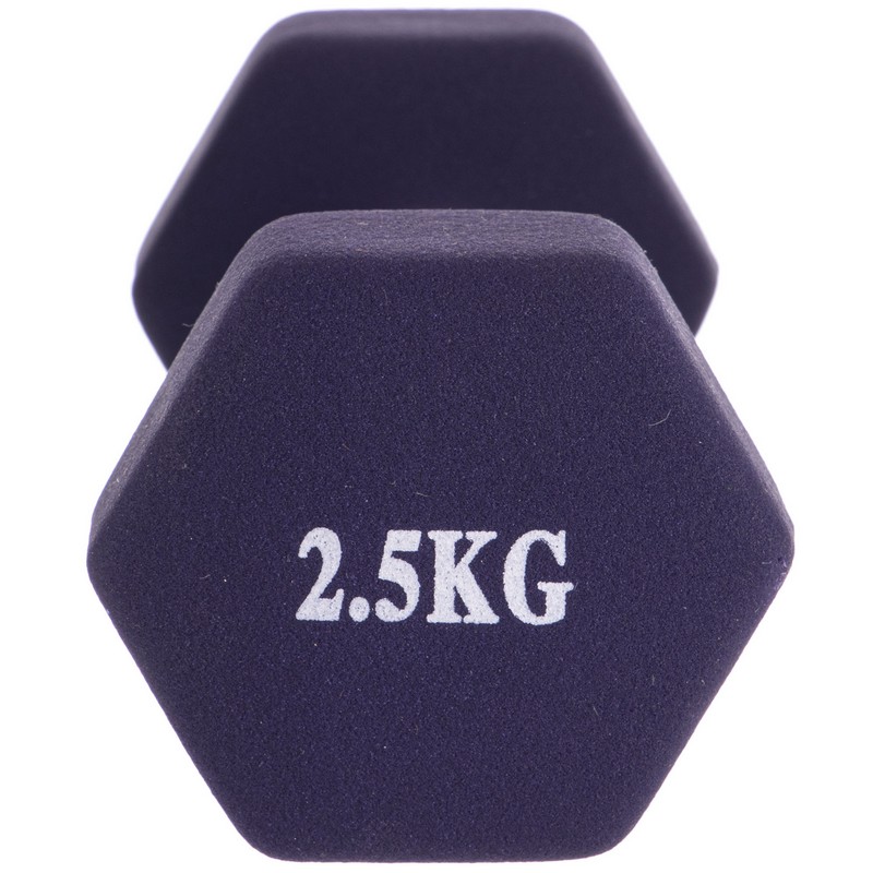 Гантель для фітнесу неопреновий Sport TA-0001-2_5 1шт 2,5кг