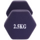 Гантель для фітнесу неопреновий Sport TA-0001-2_5 1шт 2,5кг