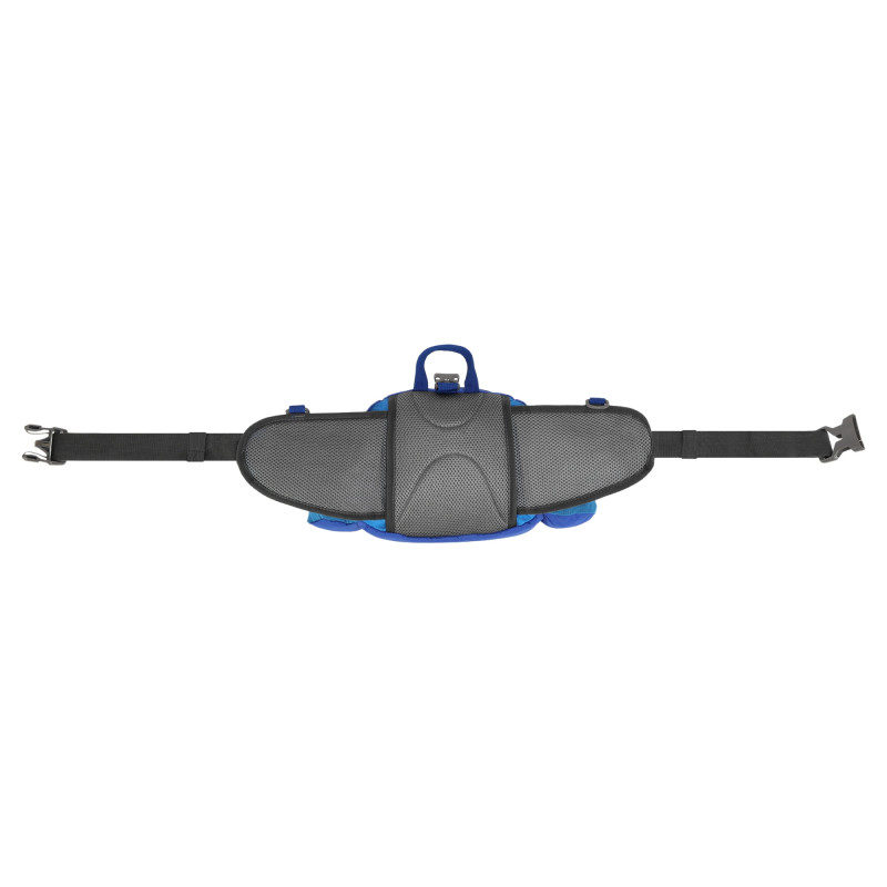Сумка на пояс спортивна багатофункціональна 3в1 COLOR LIFE WAIST BAG TY-5335