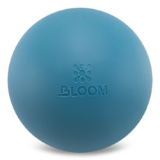 М'яч для пілатесу та йоги BLOOM PREMIUM PILATES BALL LB7003-20 20см