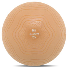 М'яч для пілатесу та йоги BLOOM MINI PILATES BALLl LB7001-25 25см